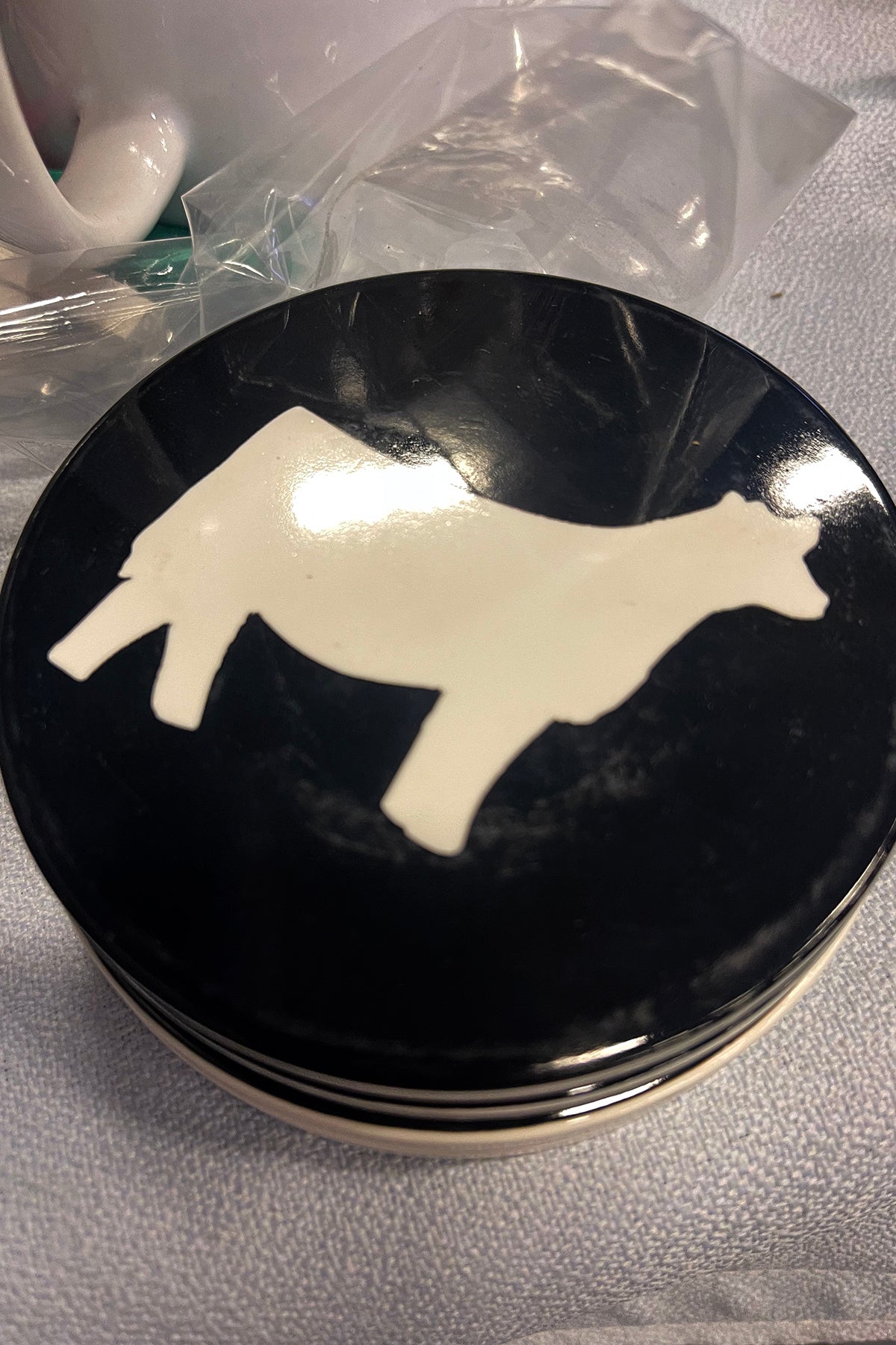 Heifer Coasters